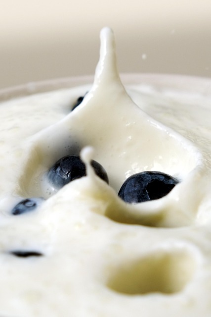 fermentirana živila, borovnice in kefir